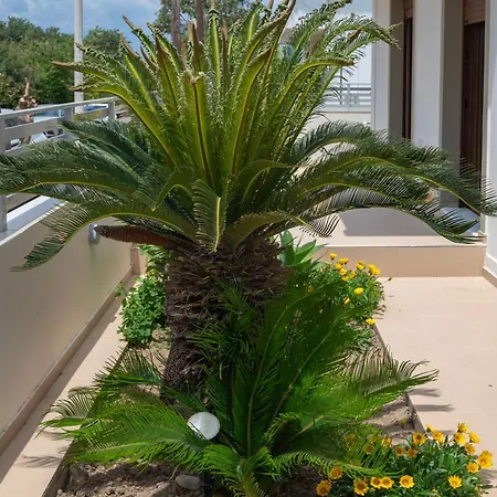 Hilltop In Monte Smith Rhodes Apartman *